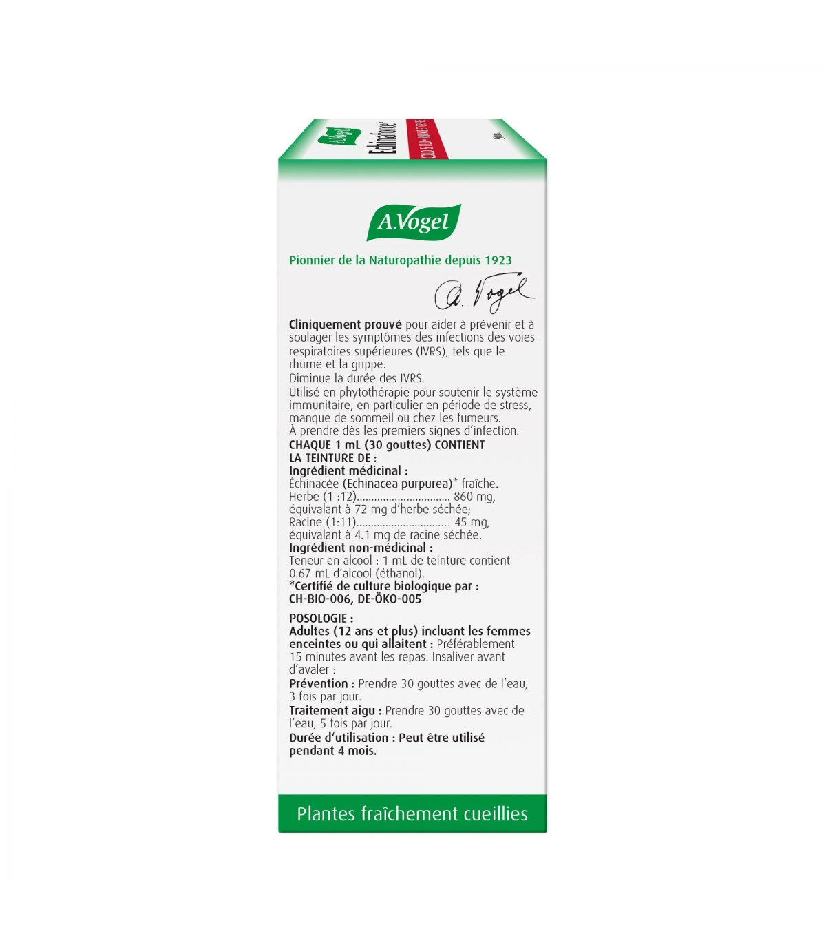 A. Vogel 에이보겔 에키나포스 100ml | 매일 업데이트되는 특가 상품 | VITASHOP