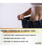 Herba Health Forskolin 60 Vegi Capsules | Unbeatable Prices, Daily Deals | VITASHOP