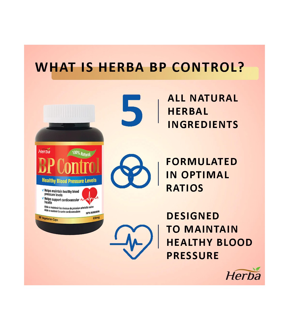 Herba Health 허바 헬스 BP 컨트롤 90 식물성 캡슐 | 매일 업데이트되는 특가 상품 | VITASHOP