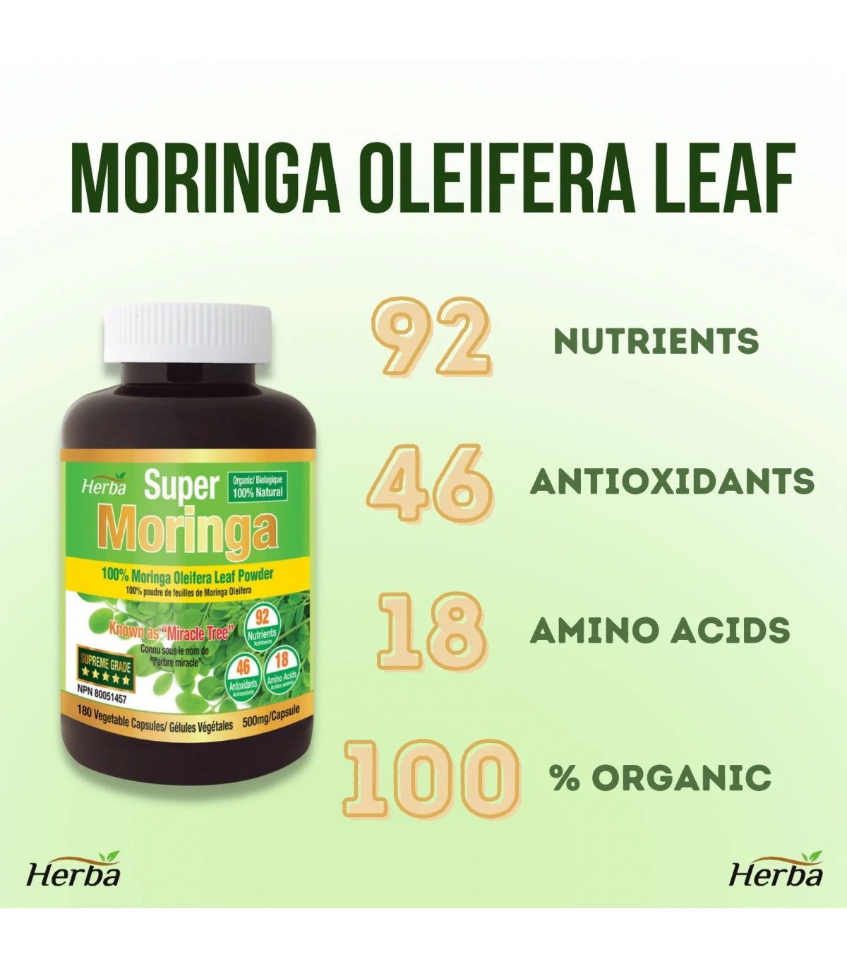 Herba Health Moringa 180 Vegi Capsules