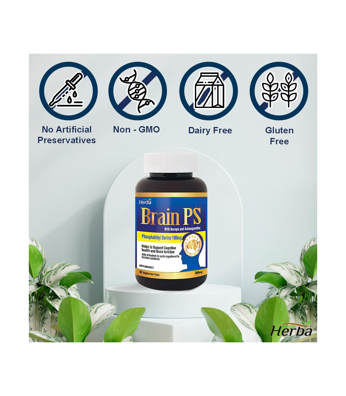 Herba Health Brain PS 90 Vegi Capsules