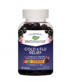 Nature's Way Sambucus Cold & Flu Relief Kids Gummy 60 Gummies | Unbeatable Prices, Daily Deals | VITASHOP
