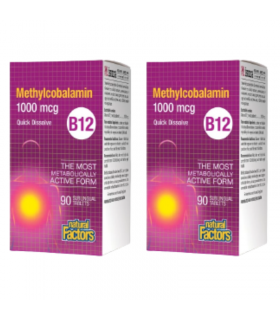 Natural Factors [2 for Deal] 내추럴 팩터스 B12 메틸코발라민 1000mcg, 설하정 90정 | 매일 업데이트되는 특가 상품 | VITASHOP