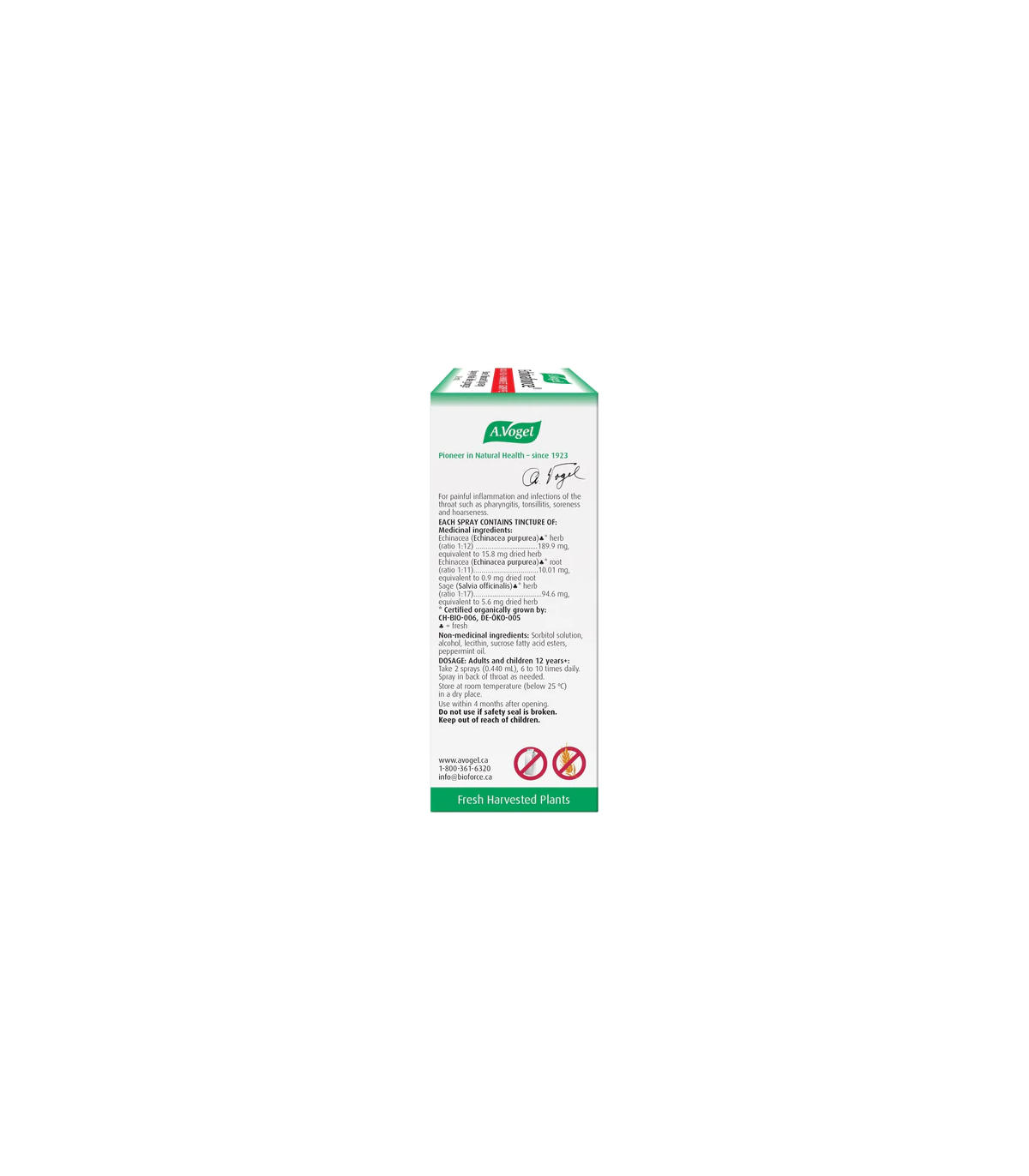 Echinaforce Sore Throat Spray 30 ml | Safest & Easiest Shopping Vitamins Online | VITASHOP