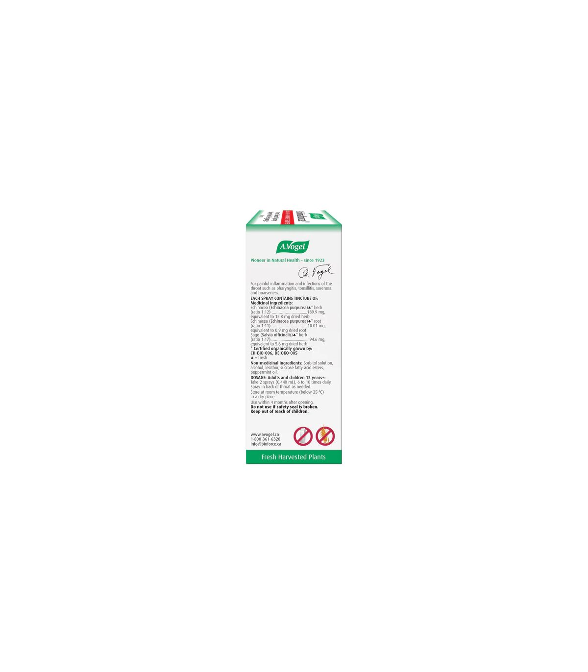 A. Vogel 에이보겔 에키나포스 인후염 스프레이 30ml | 매일 업데이트되는 특가 상품 | VITASHOP