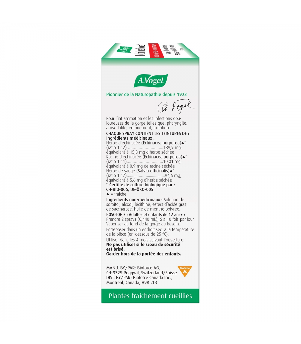 A. Vogel 에이보겔 에키나포스 인후염 스프레이 30ml | 매일 업데이트되는 특가 상품 | VITASHOP