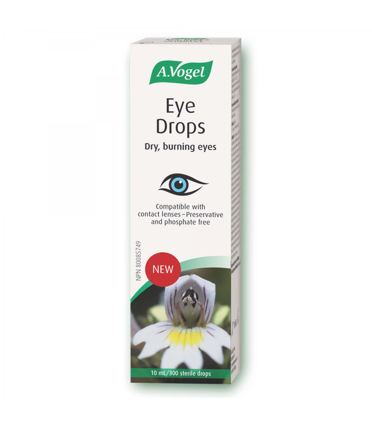 A. Vogel 에이보겔 안약 10ml | 매일 업데이트되는 특가 상품 | VITASHOP