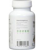 Vitamine C à croquer pour enfants Nova Scotia Organics - VITASHOP