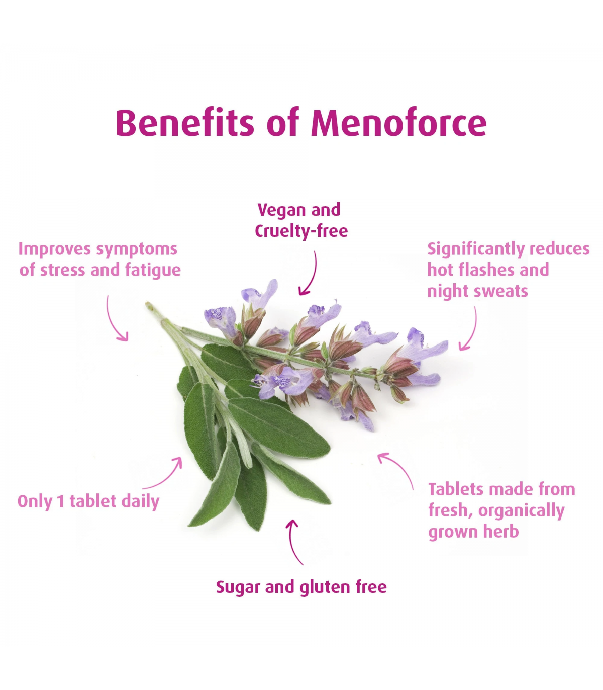 A. Vogel Menoforce 90 Tablets | 每天不同折扣, 全网最低价格 | 种类齐全的保健品店铺 VITASHOP, 只有你想不到, 没有你买不到 !