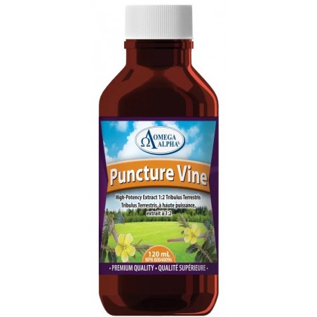 Omega Alpha Tribulus Terrestris(Puncture Vine) Nat 120ml | 매일 업데이트되는 특가 상품 | VITASHOP