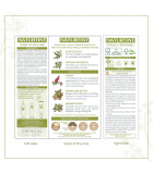 NATURTINT Naturtint 9N Honey Blonde 170 mL | 매일 업데이트되는 특가 상품 | VITASHOP