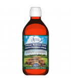 Mushroom Extract Cordyceps 250 mL