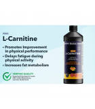Maxion Nutrition Maxion L- Carnitine 1500 mg 450 mL | 매일 업데이트되는 특가 상품 | VITASHOP
