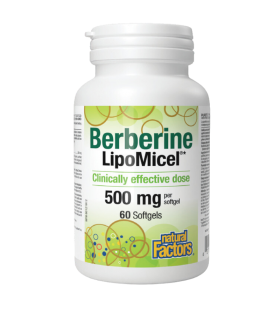 Natural Factors Berberine LipoMicel 500毫克 60 Softgels | 每天不同折扣, 全网最低价格 | 种类齐全的保健品店铺 VITASHOP, 只有你想不到, 没有你买不到 !