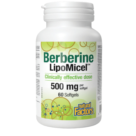 Natural Factors Berberine LipoMicel 500 mg 60 Softgels | Unbeatable Prices, Daily Deals | VITASHOP