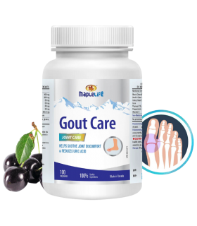 MapleLife Gout Care 100 Capsules | Acheter des vitamines en ligne de la manière la plus sûre et la plus simple qui soit | VITASH