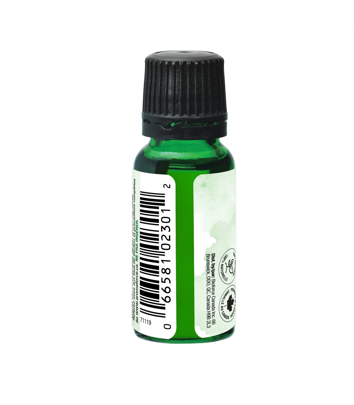 Aromaforce Aromaforce Camphor 15 ml | Unbeatable Prices, Daily Deals | VITASHOP