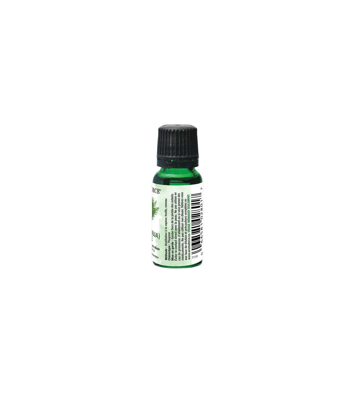 Aromaforce Cedar 15 ml | Safest & Easiest Shopping Vitamins Online | VITASHOP