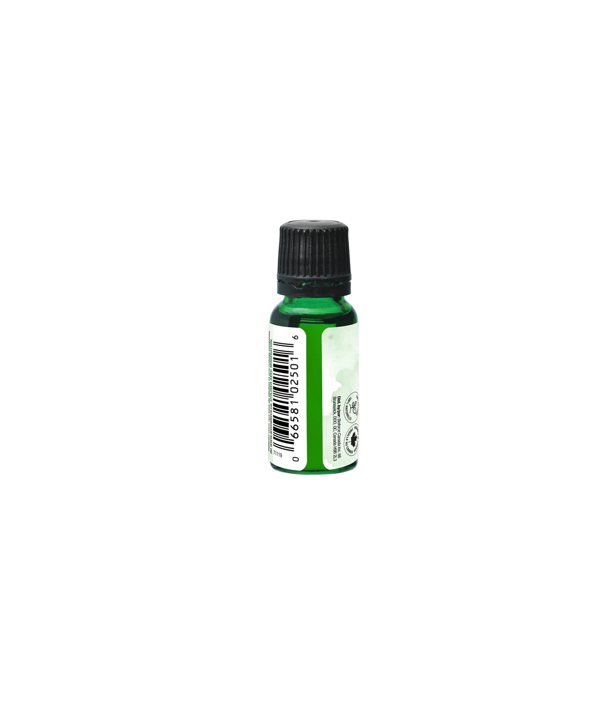 Aromaforce Aromaforce Cinnamon 15 ml | 每天不同折扣, 全网最低价格 | 种类齐全的保健品店铺 VITASHOP, 只有你想不到, 没有你买不到 !