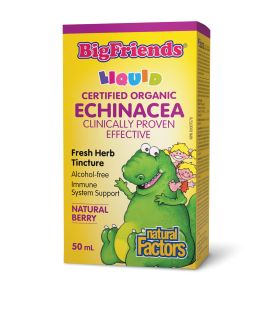 Natural Factors Big Friends Echinacea Fresh Herb Tincture Alcohol-free 50 ml | Unbeatable Prices, Daily Deals | VITASHOP