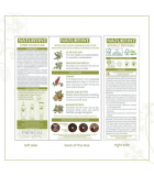 Naturtint Permanent Hair Colour 5GC (Cinnamon Chestnut)
