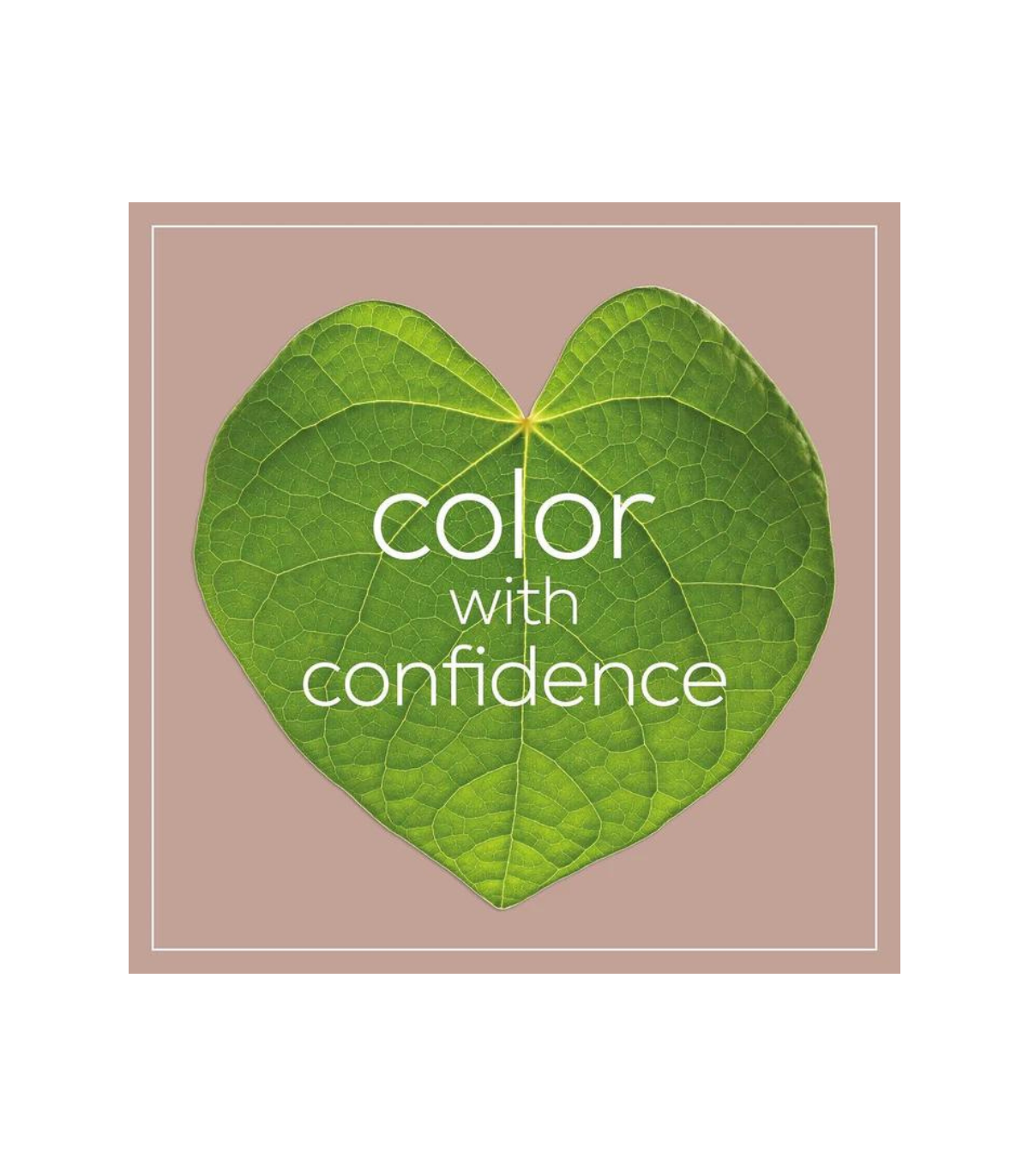 Naturtint Permanent Hair Colour 5GC (Cinnamon Chestnut)