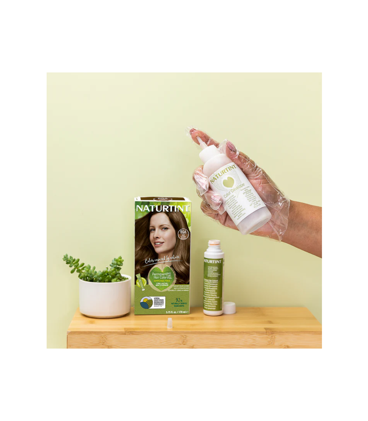 NATURTINT 영원한 머리 색깔 6GA (아몬드 브라운) | 매일 업데이트되는 특가 상품 | VITASHOP