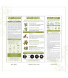 Naturtint 永久染发剂 3NV（深亮红色）