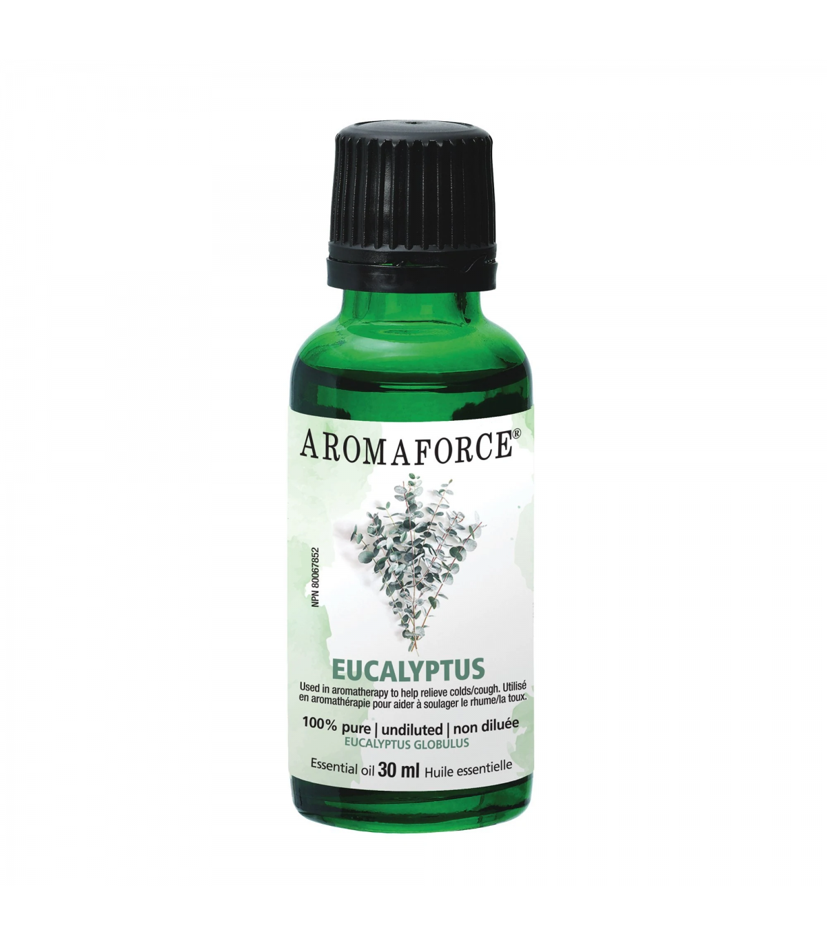 Aromaforce Aromaforce Eucalyptus 30 ml | 每天不同折扣, 全网最低价格 | 种类齐全的保健品店铺 VITASHOP, 只有你想不到, 没有你买不到 !