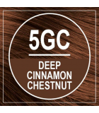 NATURTINT [2 for Deal] 영원한 머리 색깔 5GC (천연 밤) | 매일 업데이트되는 특가 상품 | VITASHOP
