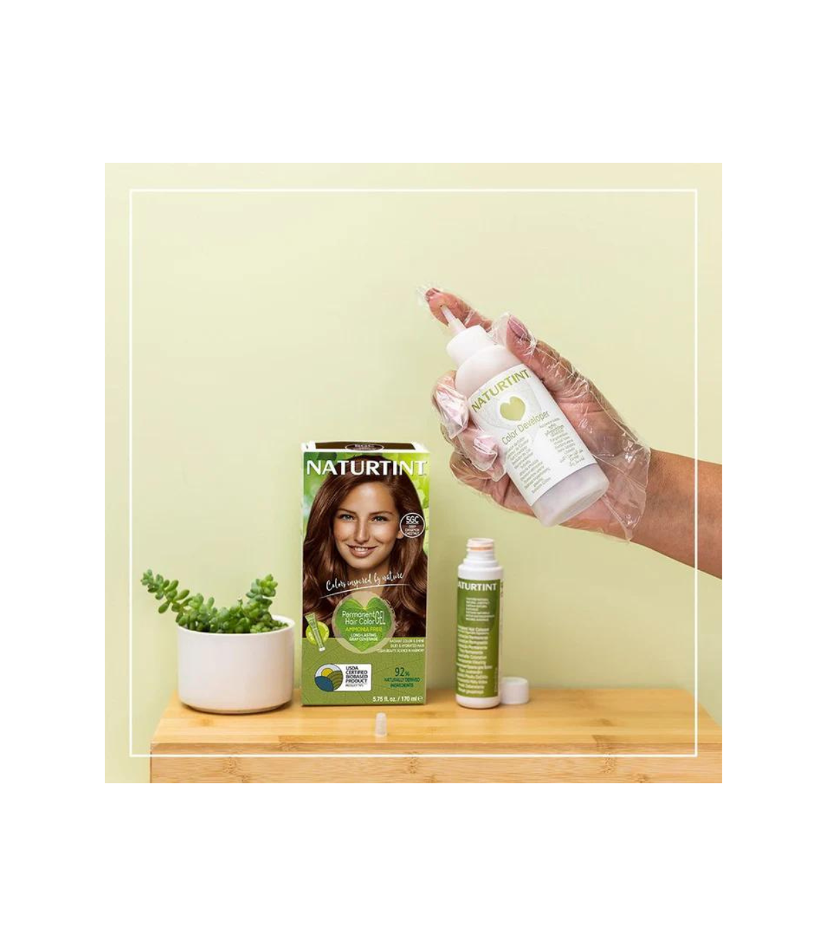 NATURTINT [2 for Deal] 영원한 머리 색깔 5GC (천연 밤) | 매일 업데이트되는 특가 상품 | VITASHOP