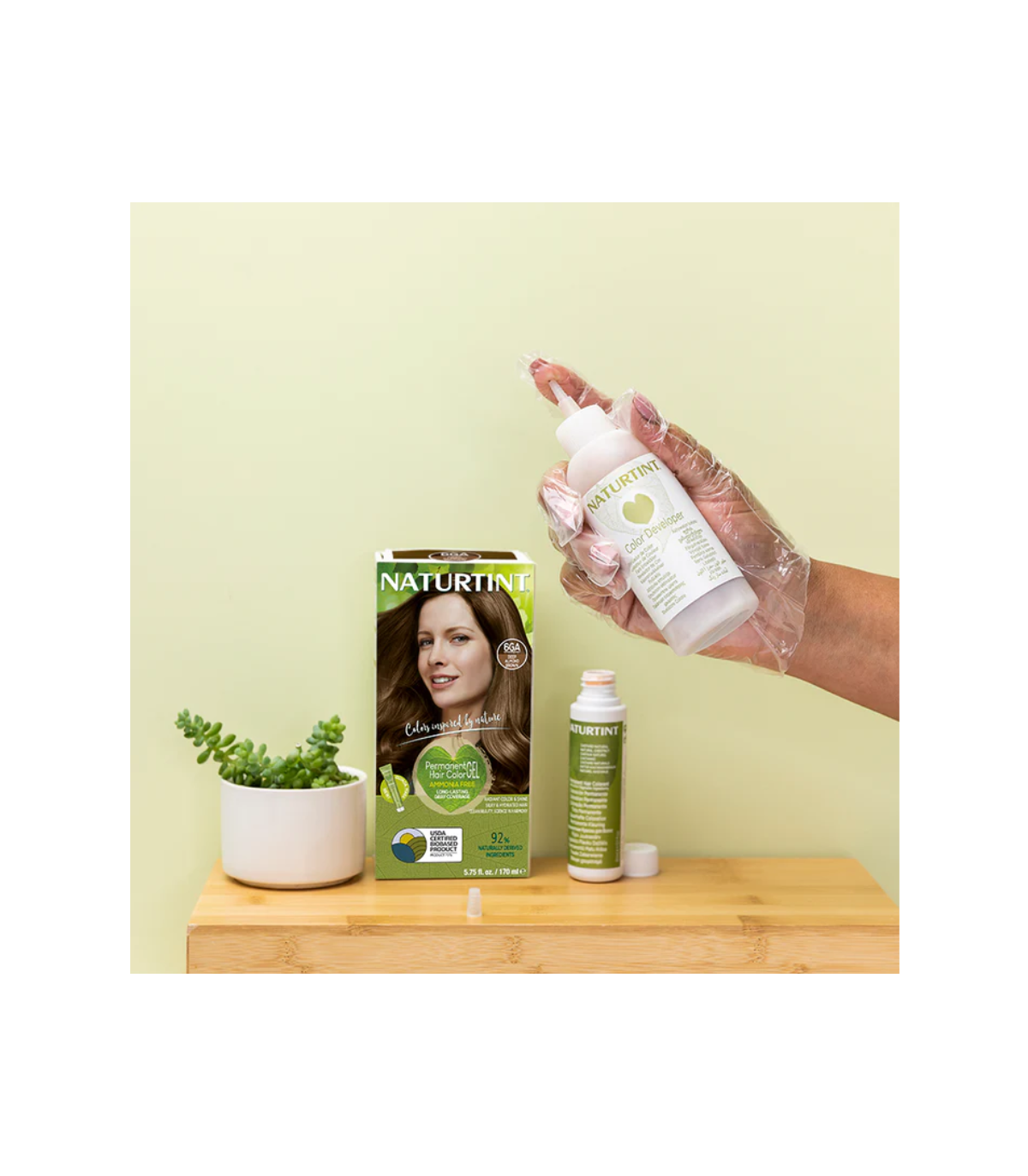 NATURTINT [2 for Deal] 영원한 머리 색깔 6GA (아몬드 브라운) | 매일 업데이트되는 특가 상품 | VITASHOP