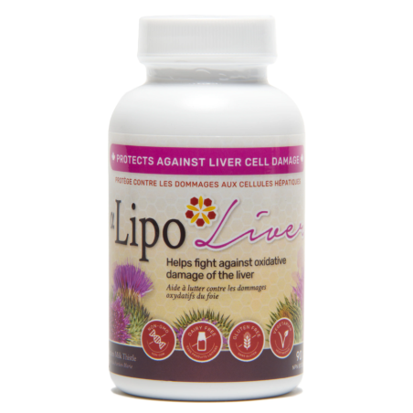 Nanton Nutraceuticals Alpha Lipo Liver 90 capsules | Everyday Lowest Price, Daily Deals |MISUMI