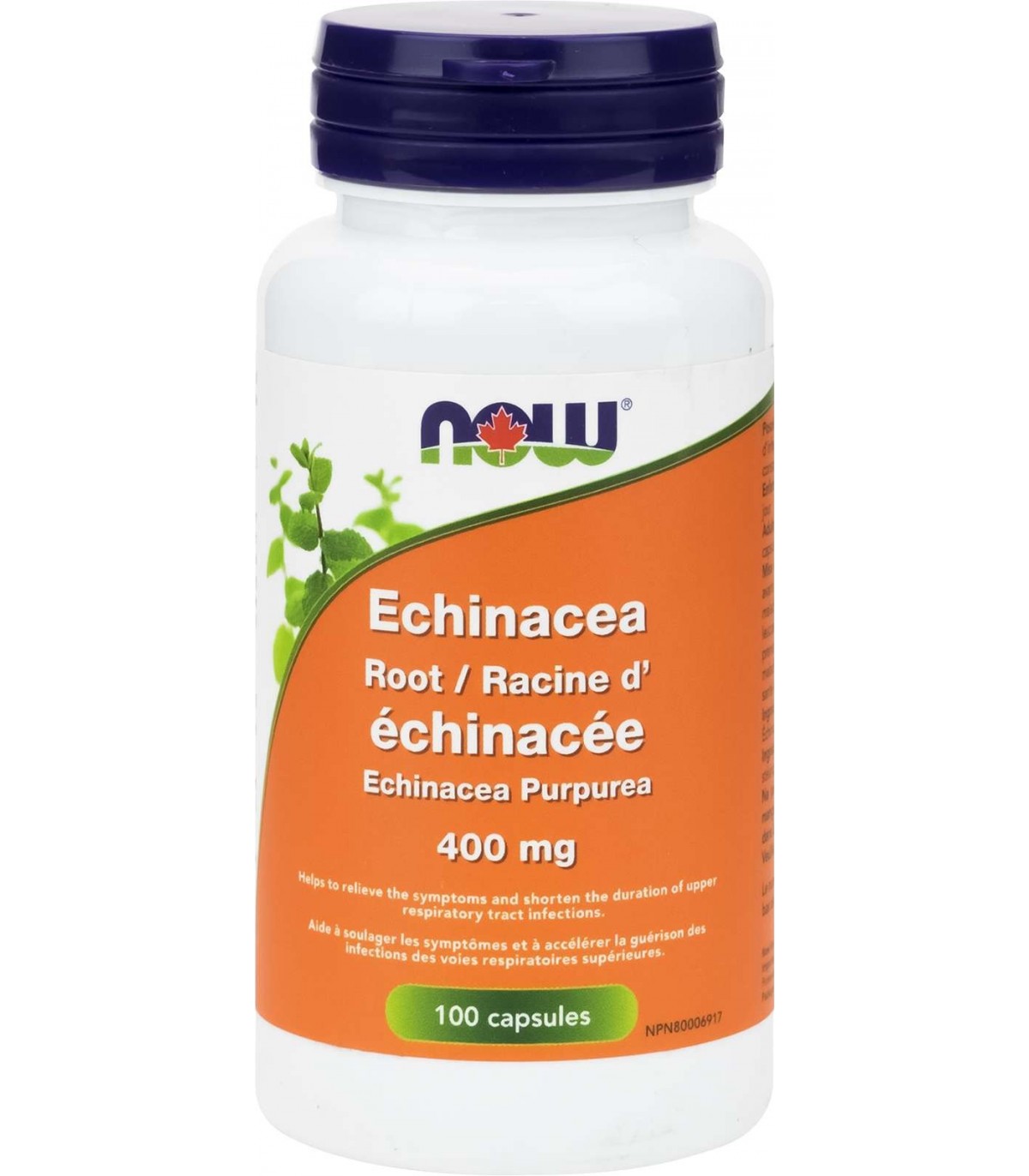 Echinacea 400 mg, 100 Capsules | Safest & Easiest Shopping Vitamins Online | VITASHOP