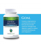 Enzymedica Critical Digestion 90ct