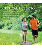 Enzymedica Digestion critique 90ct