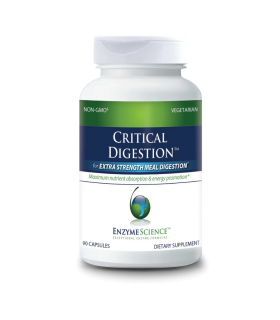 Enzymedica Critical Digestion 90ct