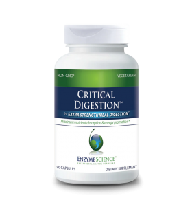 Enzymedica Digestion critique 90ct
