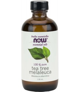 Tea Tree Oil, 118 mL | Safest & Easiest Shopping Vitamins Online | VITASHOP