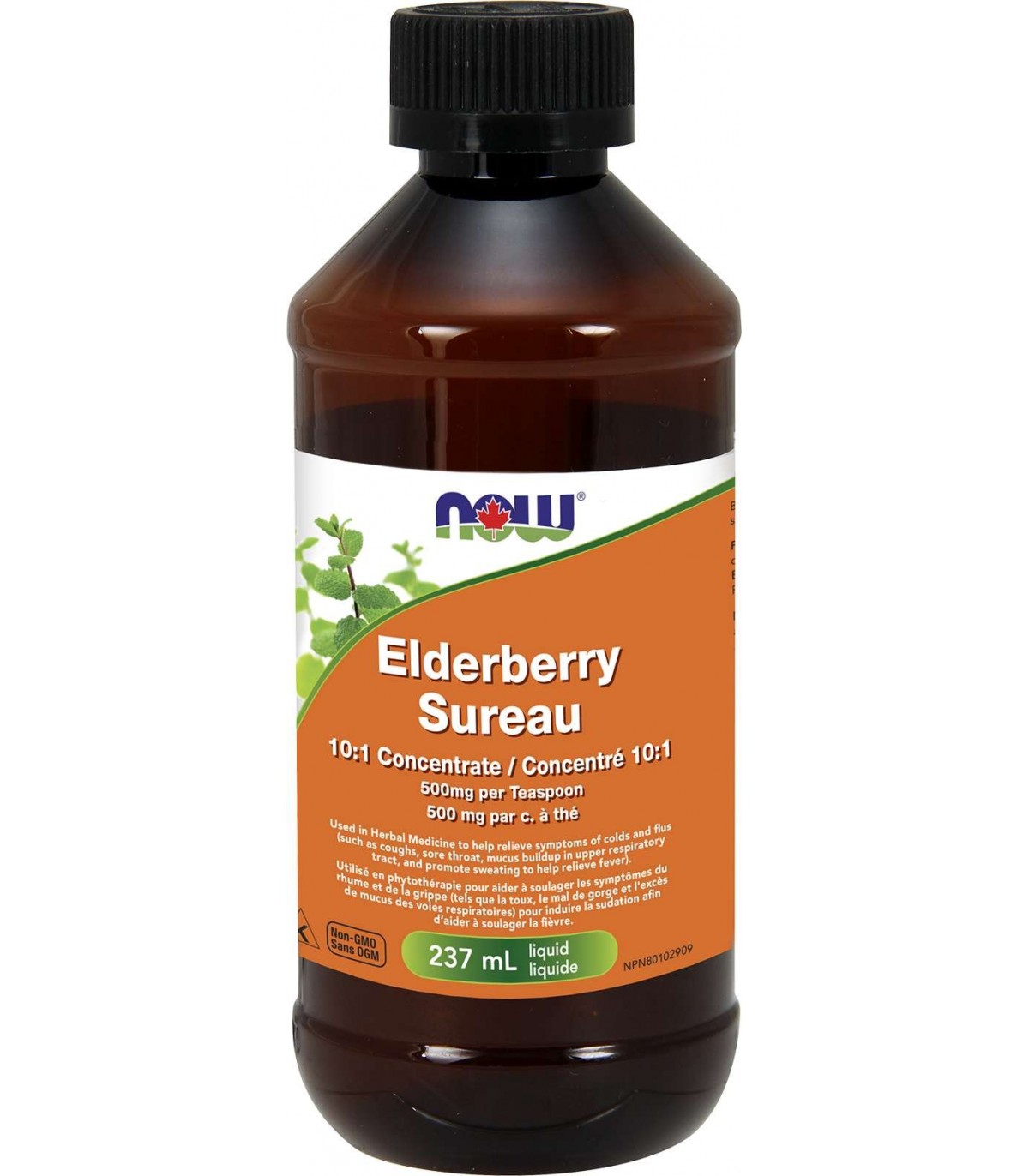 NOW Foods Elderberry 10:1 Concentrate Liquid, 237 mL (EXP DATE : Dec 1 2024) | Unbeatable Prices, Daily Deals | VITASHOP