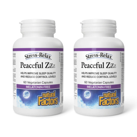 Natural Factors Stress-Relax Plongée Zzz 60caps