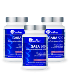 CanPrev 캔프레브 GABA 500 120 식물성 캡슐 | 매일 업데이트되는 특가 상품 | VITASHOP