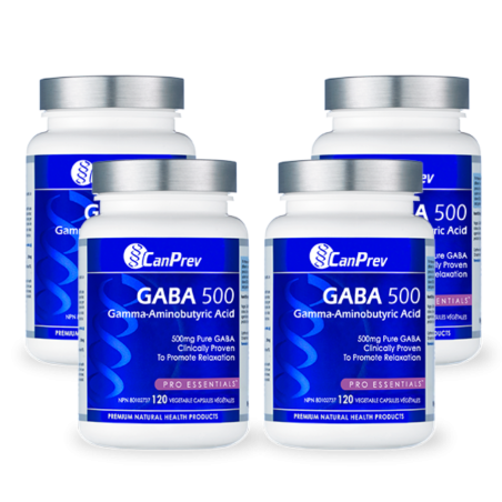 CanPrev 캔프레브 GABA 500 120 식물성 캡슐 | 매일 업데이트되는 특가 상품 | VITASHOP