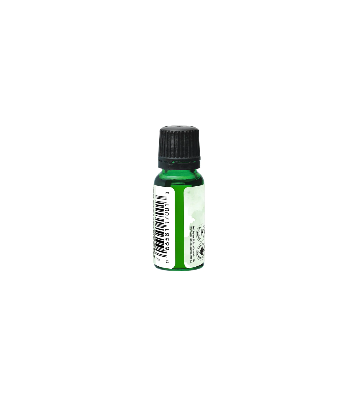 Aromaforce 아로마포스 Aromaforce 로즈마리 15ml | 매일 업데이트되는 특가 상품 | VITASHOP