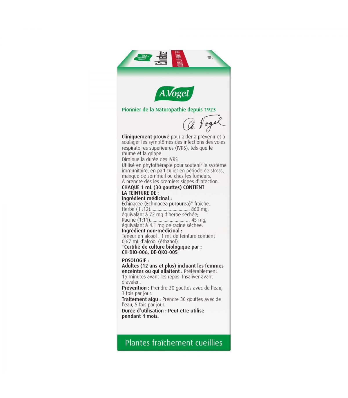 A. Vogel Echinaforce 50 ml | Unbeatable Prices, Daily Deals | VITASHOP
