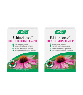 Echinaforce 120 Tablets | Safest & Easiest Shopping Vitamins Online | VITASHOP