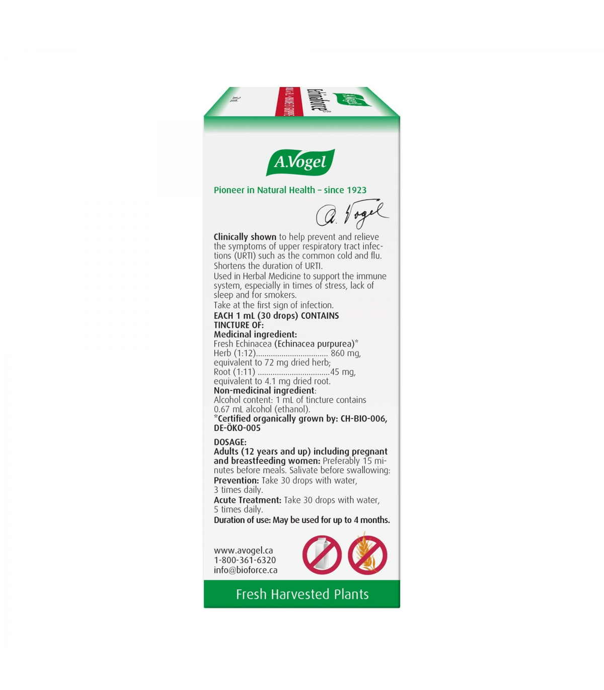 Echinaforce 100 ml | Safest & Easiest Shopping Vitamins Online | VITASHOP