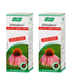 Echinaforce 100 ml | Safest & Easiest Shopping Vitamins Online | VITASHOP