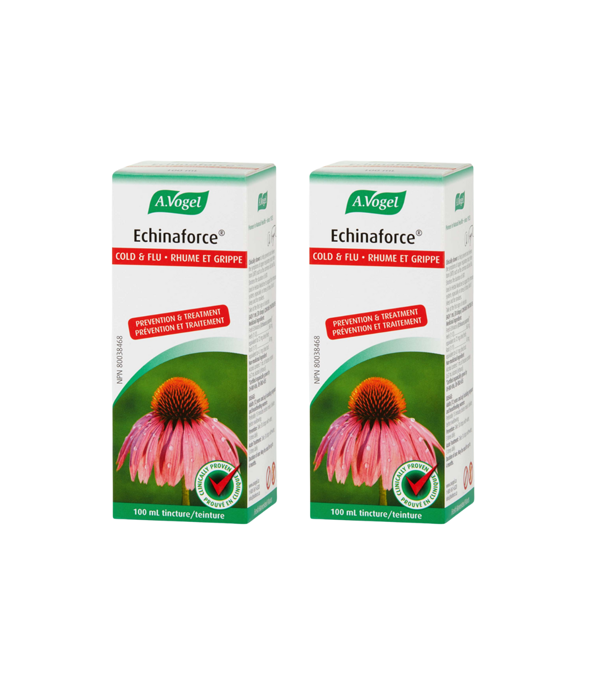 Echinaforce 100 ml | Safest & Easiest Shopping Vitamins Online | VITASHOP