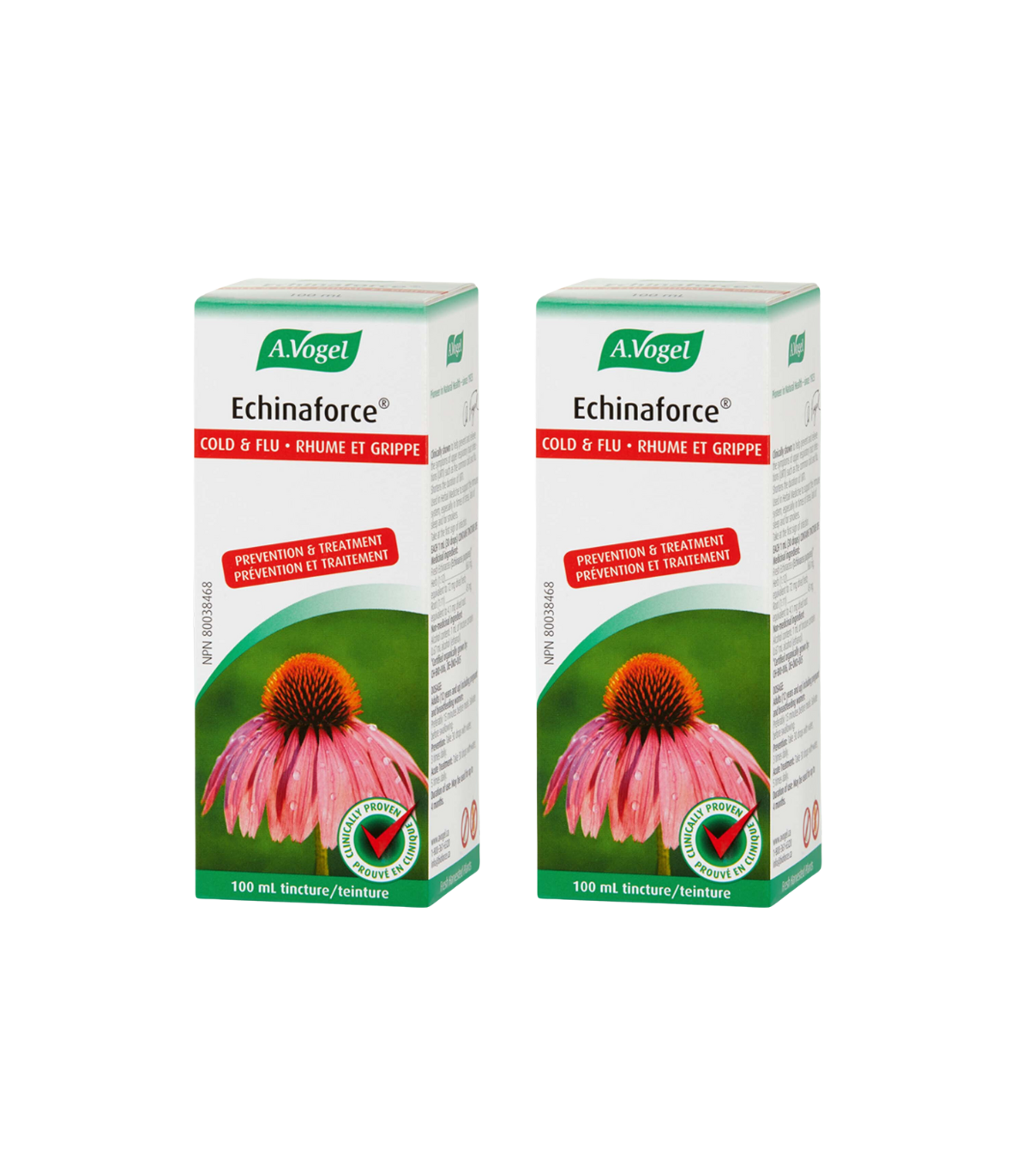Echinaforce 100 ml | Safest & Easiest Shopping Vitamins Online | VITASHOP